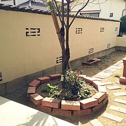 玄関/入り口/ジョリパッド/ブロック塀塗りました/植物/庭...などのインテリア実例 - 2016-06-05 13:02:31