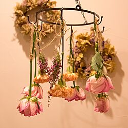 部屋全体/花のある暮らし/ドライフラワーリース/mariereiflowerのインテリア実例 - 2017-06-13 07:27:36