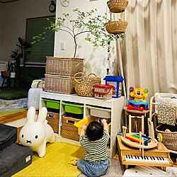 IKEA/おもちゃ収納/トロファスト/木のおもちゃ/ドウダンツツジ...などのインテリア実例 - 2023-05-17 21:03:20