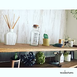 棚/natural kitchen/フェイクグリーン/多肉植物/観葉植物...などのインテリア実例 - 2016-09-01 09:43:32