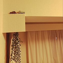 壁/天井/すきま収納/ミニカー/フェイクグリーンのインテリア実例 - 2014-03-16 11:16:15