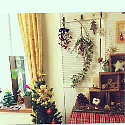 壁/天井/クリスマスツリー/クリスマス雑貨/ドライフラワー/窓辺...などのインテリア実例 - 2013-12-25 09:04:27