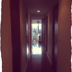 玄関/入り口/廊下/玄関からの眺め/観葉植物/ソファ...などのインテリア実例 - 2015-03-06 14:24:30