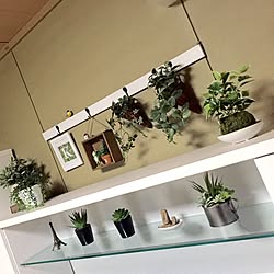 リビング/観葉植物/DIY/100均/ハンドメイド...などのインテリア実例 - 2015-10-01 01:08:08