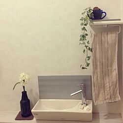 バス/トイレ/観葉植物/一輪挿し/手洗い鉢のインテリア実例 - 2013-03-30 23:00:07