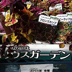 gardenのインテリア実例 - 2012-07-13 21:49:36