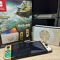 棚/ティアキン/Nintendo switch/SWITCH/ゼルダの伝説...などのインテリア実例 - 2023-09-30 23:22:03