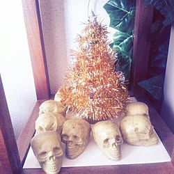 棚/SKULL/Ｘｍａｓ/クリスマス/Christmas...などのインテリア実例 - 2013-11-19 11:01:03