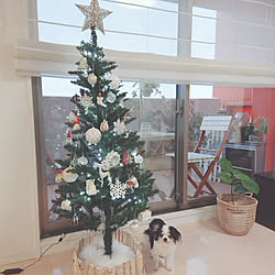 クリスマス/マンション暮らし/子供と暮らす家/犬のいる暮らし/ニトリ...などのインテリア実例 - 2019-11-05 09:50:30