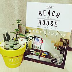 リビング/beach house/WTW/多肉植物のインテリア実例 - 2015-07-31 00:02:46