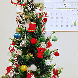 部屋全体/クリスマスツリー☆のインテリア実例 - 2021-12-03 16:25:32