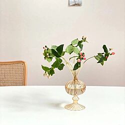 観葉植物/植物/テーブル/カフェ風/花瓶...などのインテリア実例 - 2021-01-25 10:00:19