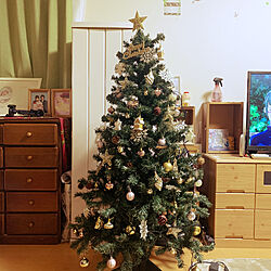クリスマスツリー150cm/ダイソー/100均/リビングのインテリア実例 - 2021-11-28 21:39:35