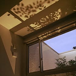 壁/天井のインテリア実例 - 2016-01-28 19:39:20