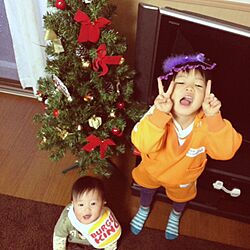 リビング/クリスマスツリー☆のインテリア実例 - 2013-11-28 02:04:48