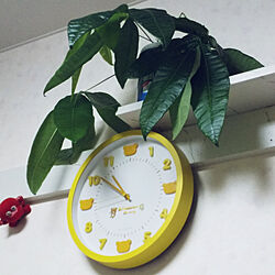 壁/天井/観葉植物/掛け時計のインテリア実例 - 2021-07-01 00:19:49