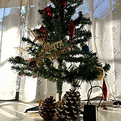 Christmas/クリスマス/decoration/クリスマスツリーのインテリア実例 - 2023-12-29 10:31:09