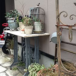 玄関/入り口/アンティーク/DIY/多肉植物/植物のインテリア実例 - 2014-01-08 10:06:01