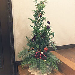 ハンドメイド/クリスマス/玄関/入り口/クリスマスツリーのインテリア実例 - 2021-11-25 20:42:15