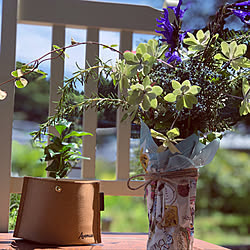 コーヒーの木/庭の植物たち/かめらまーく消し/雑貨屋さんみたいに飾りたい♪/撮り方が難しい…...などのインテリア実例 - 2019-07-12 14:27:38