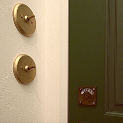 グリーンのドア/表示錠/スイッチ/真鍮スイッチプレート/真鍮スイッチ...などのインテリア実例 - 2018-03-11 08:51:46