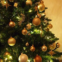 クリスマスツリーのインテリア実例 - 2014-11-17 01:16:54