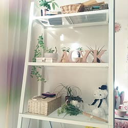 棚/みどりのある暮らし/観葉植物/賃貸/IKEA...などのインテリア実例 - 2017-01-17 14:26:34