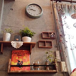 壁/天井/植物/雑貨/DIYのインテリア実例 - 2013-10-25 09:46:21