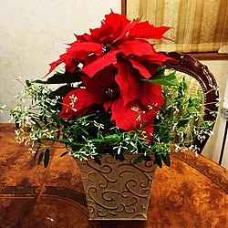机/クリスマスのインテリア実例 - 2015-11-22 06:15:55