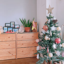 クリスマス/クリスマスツリー/IKEA/こどもと暮らす。/観葉植物...などのインテリア実例 - 2021-12-10 08:58:10