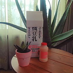 キッチン/アロエン/無調整豆乳/日清ヨーク/ホームセンターで売ってないアロエ...などのインテリア実例 - 2017-07-02 06:53:36