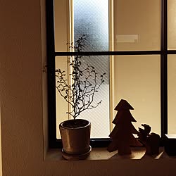 アイアン窓枠/観葉植物のインテリア実例 - 2016-12-21 08:46:43