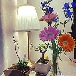 盆栽/お家時間/お花のある暮らし/一人暮らし/IKEA...などのインテリア実例 - 2020-04-16 22:06:08