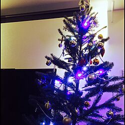 リビング/クリスマスツリー/IKEA/雑貨/インテリアのインテリア実例 - 2015-12-12 21:06:04