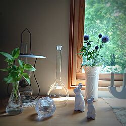 棚/スウェーデンハウス /IKEA/観葉植物/古いもの...などのインテリア実例 - 2016-07-31 16:04:13