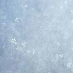 真冬日/氷点下/雪の結晶/季節を楽しむ暮らし/玄関/入り口のインテリア実例 - 2021-01-23 14:30:41