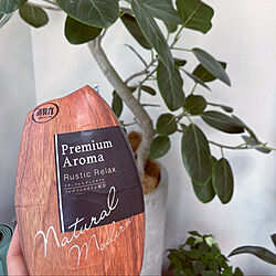 消臭力 Premium Aroma/プレミアムアロマ/香りのある暮らし/エステー/モダンインテリア...などのインテリア実例 - 2021-05-01 22:58:07