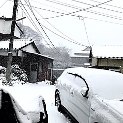 雪☃️/寒波到来/2023.1.25/好きなものに囲まれたい/白が好き...などのインテリア実例 - 2023-01-25 22:17:29