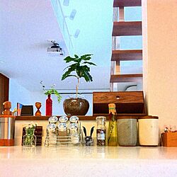 キッチン/階段/フラワーベース/植物/雑貨...などのインテリア実例 - 2013-03-11 08:23:23