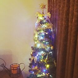 リビング/クリスマスツリーのインテリア実例 - 2016-11-11 21:53:47