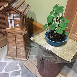 玄関/入り口/日本家屋/建具オーダー/グリーン/観葉植物...などのインテリア実例 - 2016-11-01 21:55:14