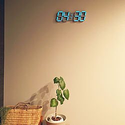 壁/天井/時計/寝室/観葉植物のインテリア実例 - 2022-03-26 12:51:09