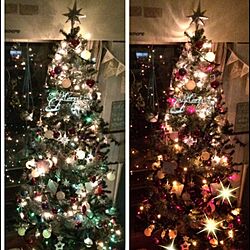 部屋全体/クリスマス/クリスマスツリー/植物/ガーデニング...などのインテリア実例 - 2015-12-20 23:00:52