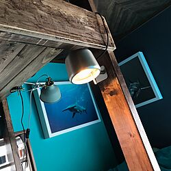 壁/天井/IKEA/IKEA 照明/サメが好き/ブルーグレーの壁...などのインテリア実例 - 2017-04-22 12:23:37