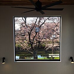 棚/お花見/桜/入居前/吹き抜け...などのインテリア実例 - 2017-04-04 16:39:11