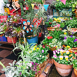 アメリカンポップ/赤大好き❤/雑貨大好き❤/植物のある暮らし/パイプ脚立...などのインテリア実例 - 2020-01-22 20:45:21