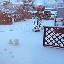 部屋全体/珍しい雪のインテリア実例 - 2014-02-13 20:06:48