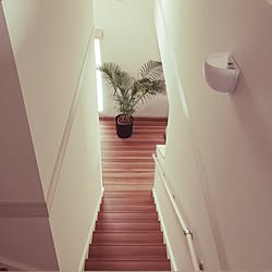 部屋全体/ふきぬけ/観葉植物/White/毎日使う場所...などのインテリア実例 - 2015-03-16 08:51:39