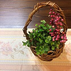 机/ハンドメイド/山の植物/ドライフラワーのインテリア実例 - 2017-01-23 17:34:44