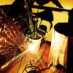 ベッド周り/照明/観葉植物/手作り/雑貨のインテリア実例 - 2014-08-07 23:39:42